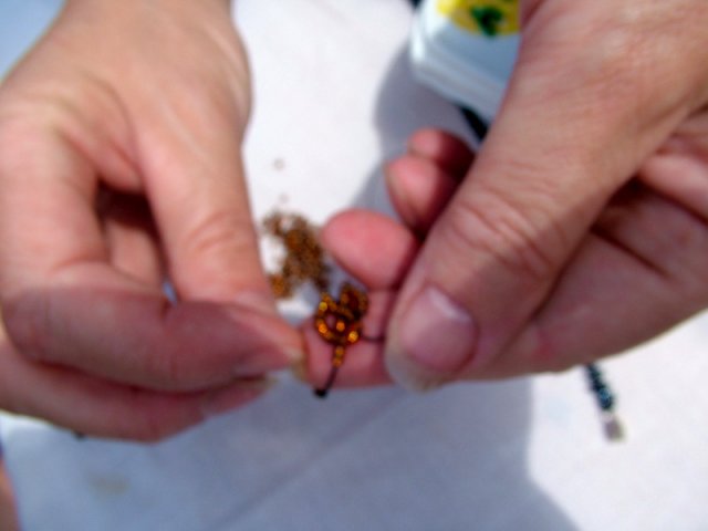 Kézműves tábor 2007.