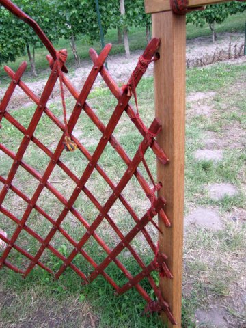 A 11. (2012. évi) tábor