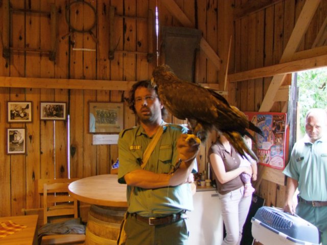 A 11. (2012. évi) tábor