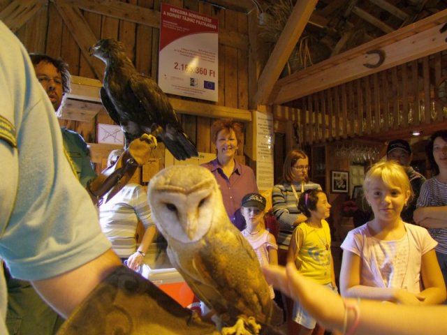 A 11. (2012. évi) tábor