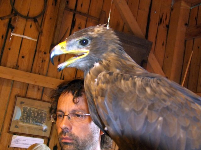 A 11. (2012. évi) tábor