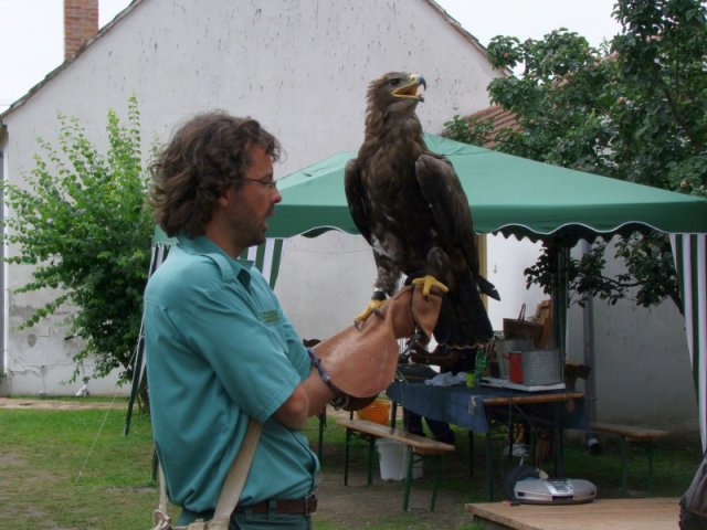 A 11. (2012. évi) tábor