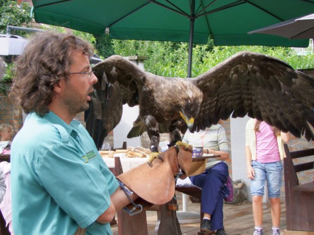 A 11. (2012. évi) tábor